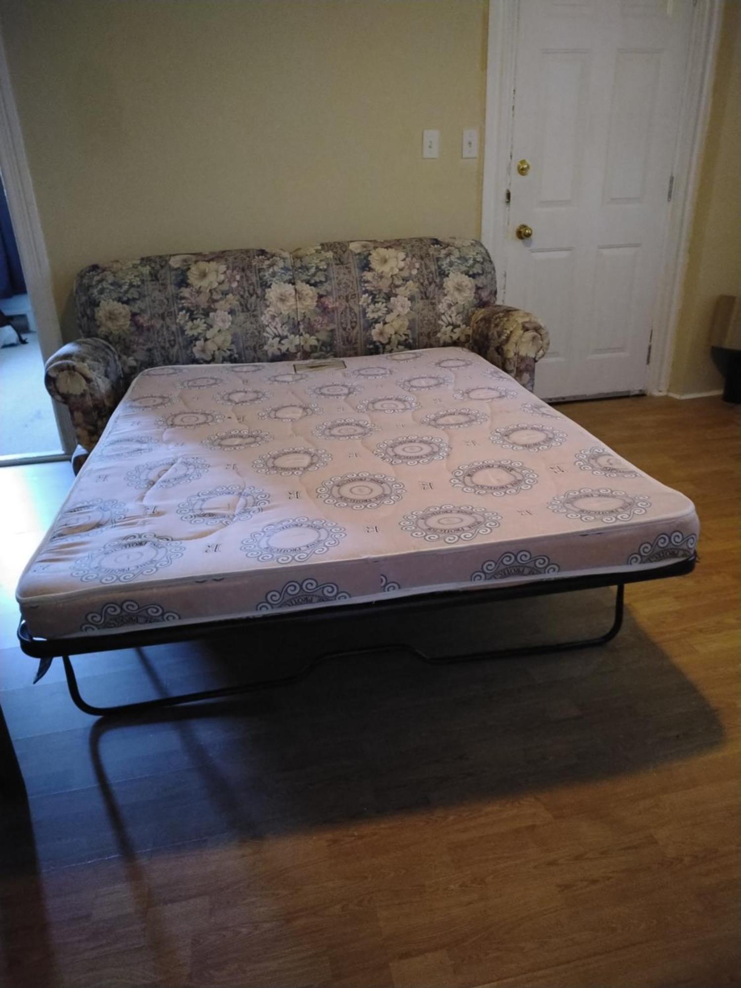 Cozy Downtown Two Bedrooms Free Parking Kingston Esterno foto