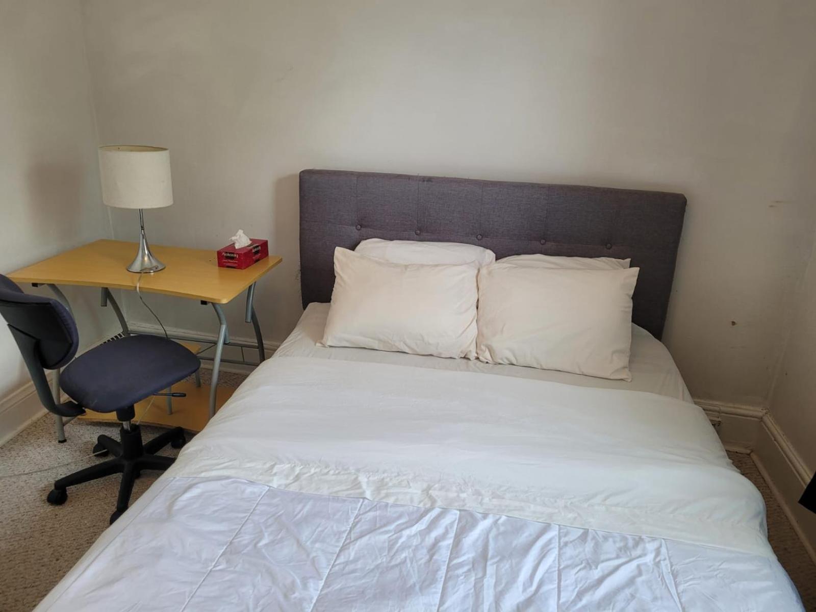 Cozy Downtown Two Bedrooms Free Parking Kingston Esterno foto
